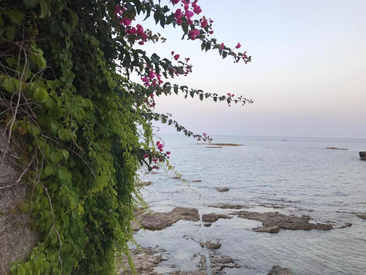 فيلا Casa Gaetano سيراكوزا المظهر الخارجي الصورة